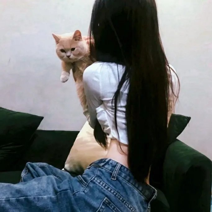 电视剧集